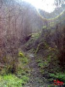 Senderismo, camino de las minas de wolfram. Petn, Orense